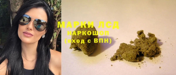 шишки Коряжма