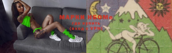 шишки Коряжма
