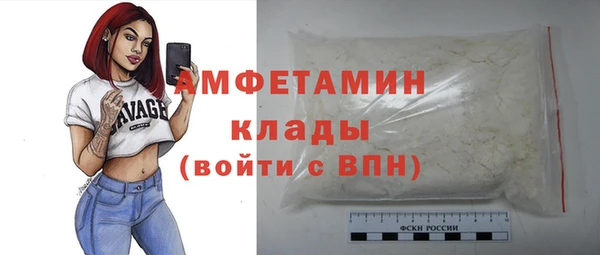 шишки Коряжма