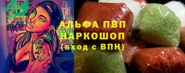 шишки Коряжма