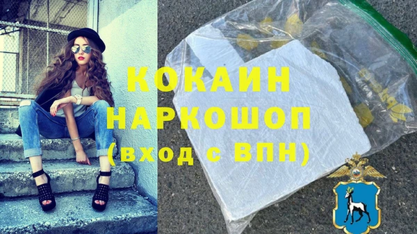 шишки Коряжма
