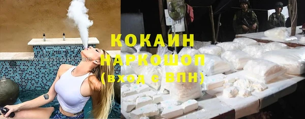 шишки Коряжма