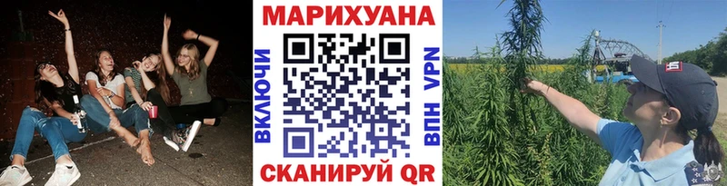 Каннабис гибрид Кирс